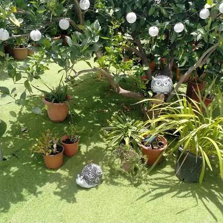 Casa Nine Con Piscina Vacacional La Palma Appartement